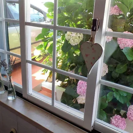 Vakantiehuis Flowerhouse